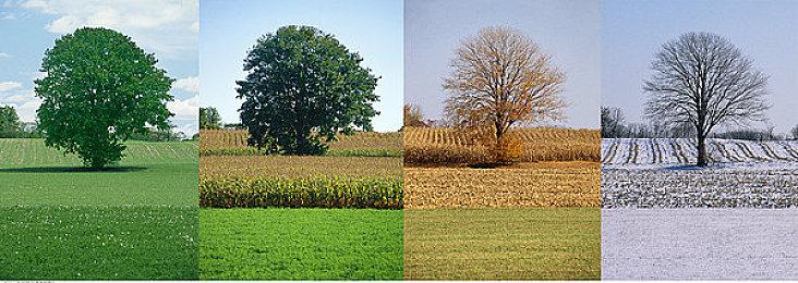 PC XGP订阅服务新增40个地区支持 目前仅提供预览版