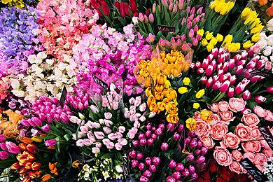 官方分享《光环：无限》多人测试Xbox One实机游玩视频 运行流畅