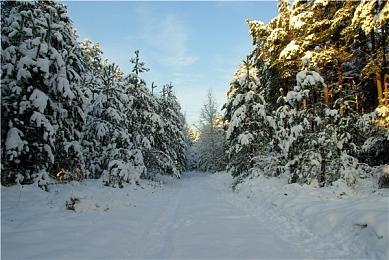 Epic喜加一：《酿造物语》《皇家领地：重铸版》道具包免费领